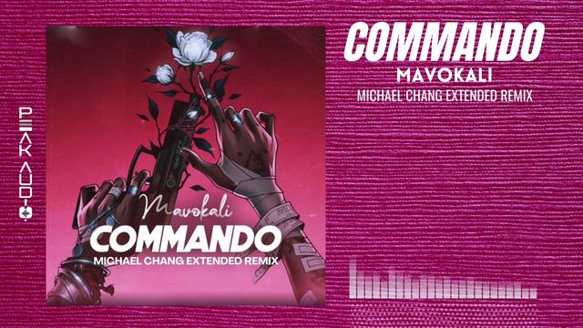 Commando (Extended Remix) - Mavokali & Michael Chang смотреть онлайн