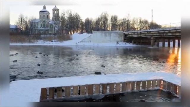 Наши лебеди. Торопец. 17.01.2021 г. смотреть онлайн