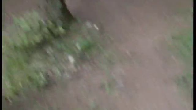 Marie Lemoine L1A Grp 1