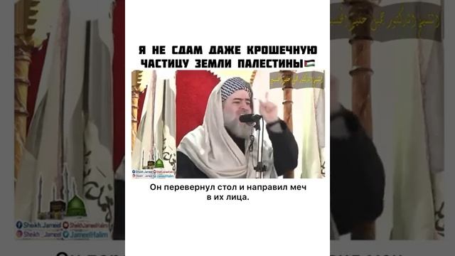 Я НЕ СДАМ ДАЖЕ КРОШЕЧНУЮ ЧАСТИЦУ ЗЕМЛИ ПАЛЕСТИНЫ смотреть онлайн