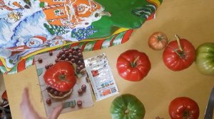 Томат Добрыня Никитич