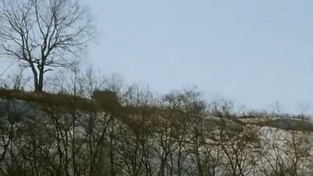 ХОЧУ В ТЮРЬМУ / Фильм 1998 / сцена ПОГОНЯ смотреть онлайн