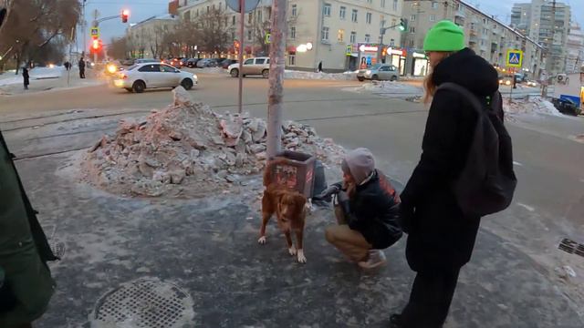 Отрабатываем собак на уличной собаке смотреть онлайн