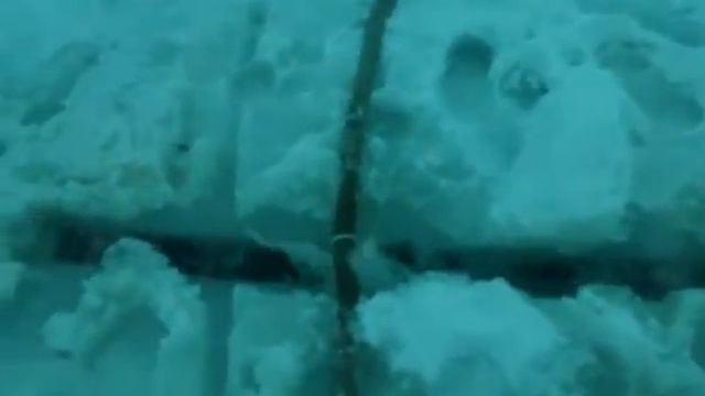 КОКИНО смотреть онлайн