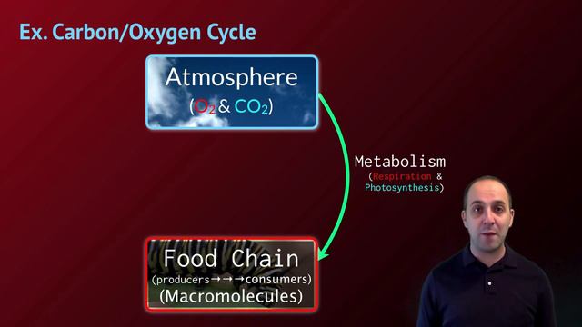 Accelerated Biology Notes: Matter Cycles смотреть онлайн