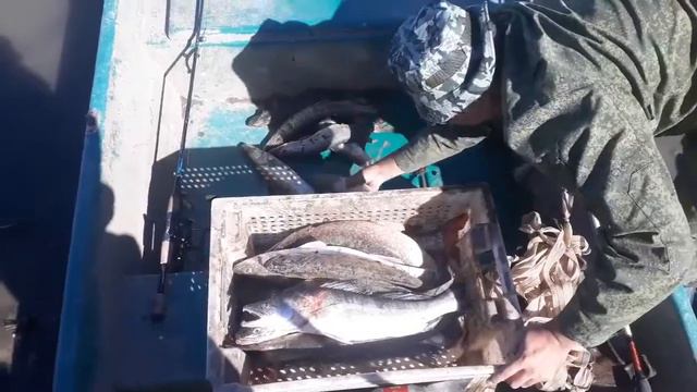 река "Берекет" рыбалка на хищника смотреть онлайн