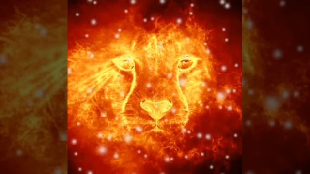 АЦДЖ,Дом жизни!!! смотреть онлайн