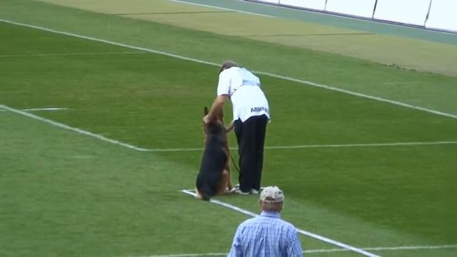 ziger 2012 смотреть онлайн