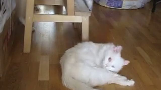Началось в деревне утро смотреть онлайн