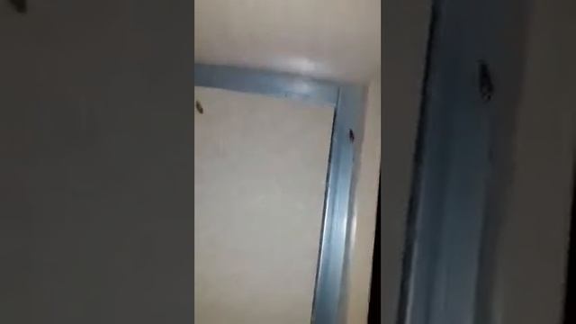 6 гор больница пенза,кашмар!!! смотреть онлайн