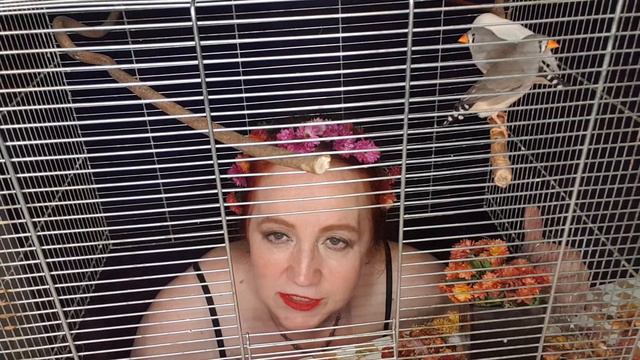 В пустыню смотреть онлайн