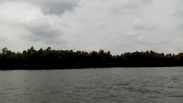 Вилково,где можно поймать 100 кг сома смотреть онлайн