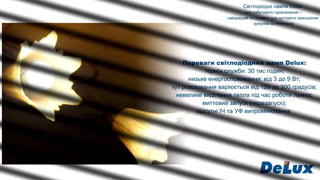 Світлодіодні лампи Delux для побутового призначення смотреть онлайн