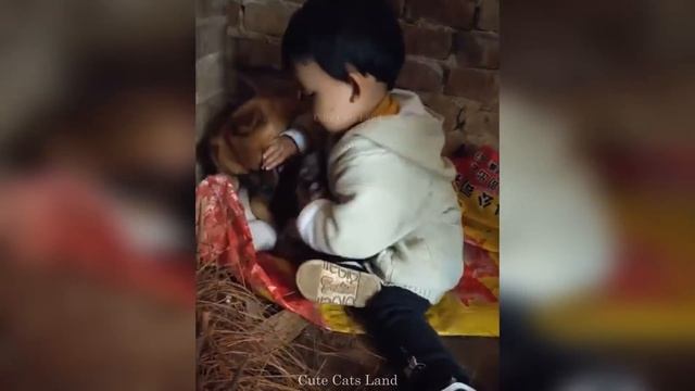 Cute And Funny Cat Videos #48 | Cute Cats Land смотреть онлайн