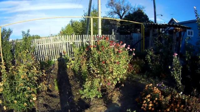 1080P 60FPS 170 гр. 4:3 смотреть онлайн
