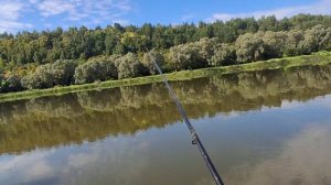 РЫБАЛКА НА ДОНУ. ЗАБЫТАЯ НАМИ НАЖИВКА.