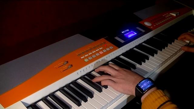 Червона рута. Medeli SP5500S (A800) Saxophone sound. Bossa Nova cover. смотреть онлайн