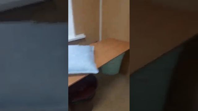 Чистка пухо-перовых подушек, одеял, перин в компании «Чистый пух» смотреть онлайн