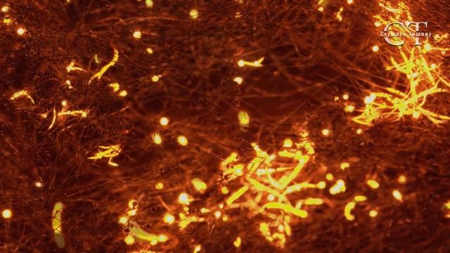 ASMR . Горящая стальная вата. смотреть онлайн