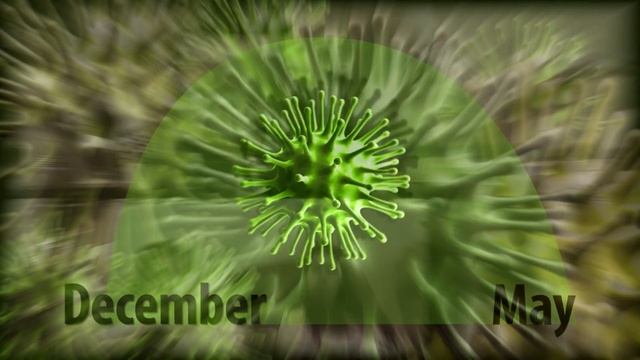 Getting ready for flu season смотреть онлайн