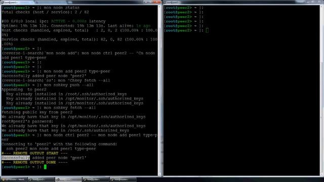 Distributed Monitoring with TruePath Technologies and op5 смотреть онлайн