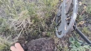 Заброшенный советский пляж | Поиск монет с металлоискателем