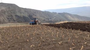 Трактор Лтз 60 с 3 х корпусым плугом пашем огород.| Трактор В поле