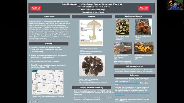 Monadnock Mushroom - Poster Presentation Keene State College Environmental Studies Department смотреть онлайн