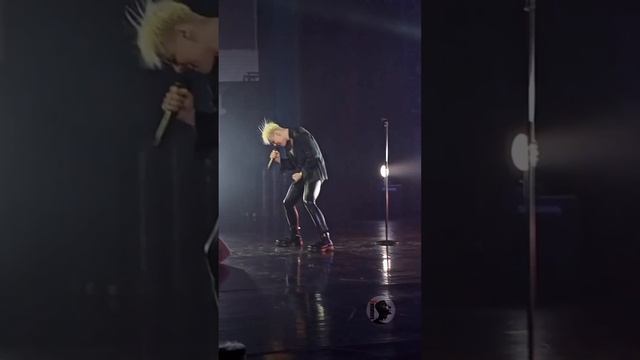 #SHAMAN #shamanfamily #Ярославль 26.09.2023 #Я_Русский Спасибо за видео Оксане Сакович @ok_virve ❤ смотреть онлайн