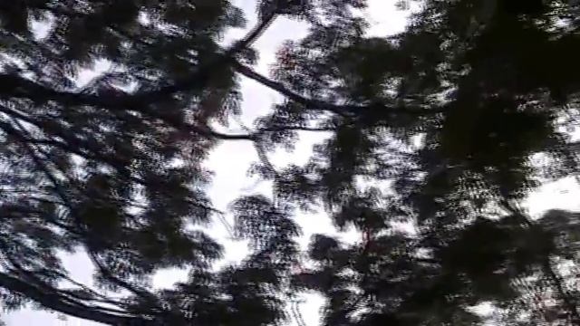 Open air stage in Peradeniya. known as Wala смотреть онлайн