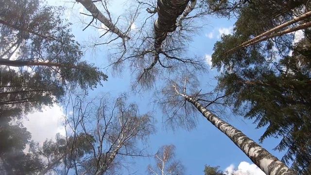 Матюг - Ветлуга 22