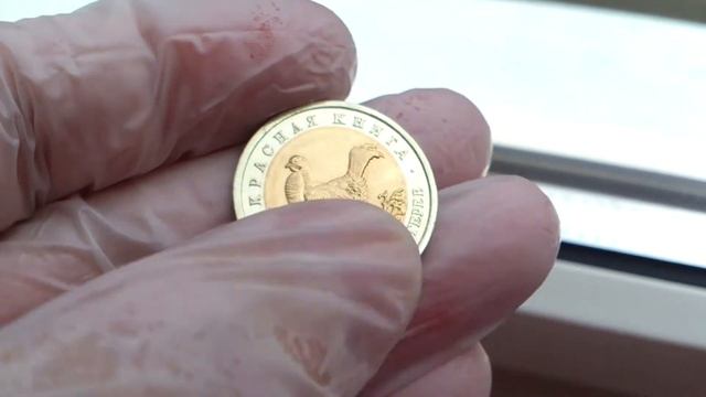 50 РУБЛЕЙ 1993 г. КАВКАЗСКИЙ ТЕТЕРЕВ . КРАСНАЯ КНИГА . UNC смотреть онлайн