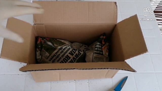 Unboxing video - Echeveria - OPGIvanŠoh смотреть онлайн
