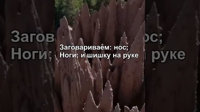 # заговариваем нос, ноги и шишку на руке# смотреть онлайн