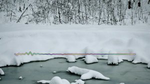 Гульмира Магомедова - Медляк  2024