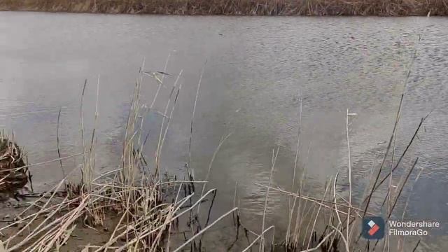 первая рыбалка этой весной. смотреть онлайн