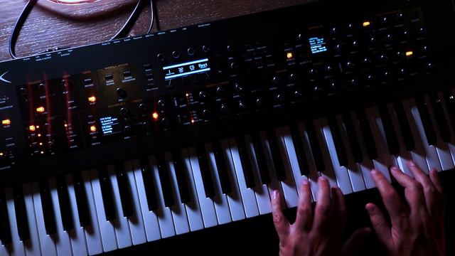 DSI / 8Dio Sequential Prophet X Program: "Chamber Harps" смотреть онлайн