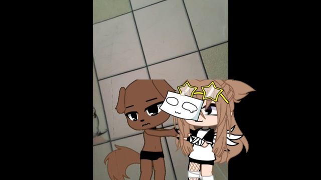 сабака ламинат смотреть онлайн