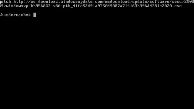 [VIDEO 5] easyThunder: Instalação Facil do Thunder Cache Professional no FreeBSD. смотреть онлайн
