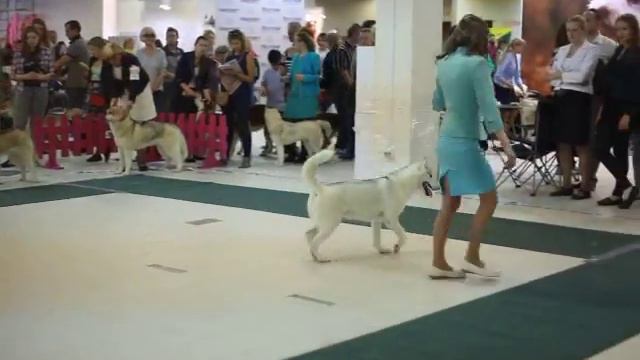 Graffsiberians Louis Vuitton1 s смотреть онлайн