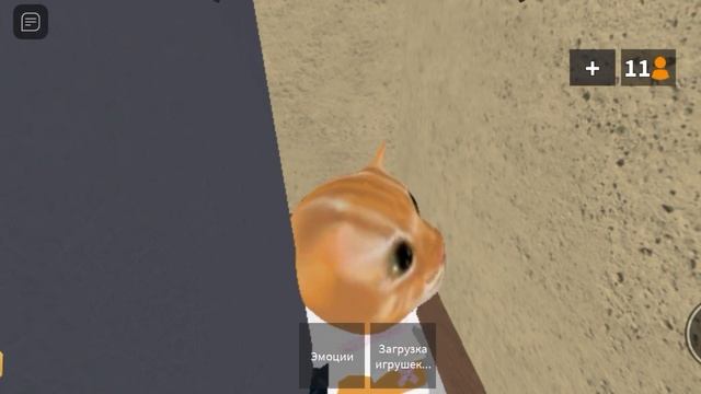 если умру то ем шоколадные шарики