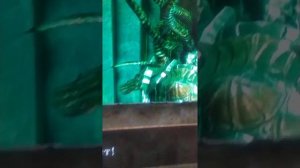 Dark Souls  2 аннигилирует четвёртую стену в щепки ибо изучил уже меня основательно!!