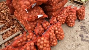 Манас рынок сегодня 26 января 2023г