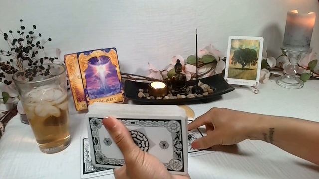 Tarot & Oracle Card Reading | Getting to the Root of Your Fear and Finding Your Voice! смотреть онлайн