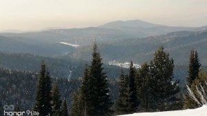 Тайга, да километры