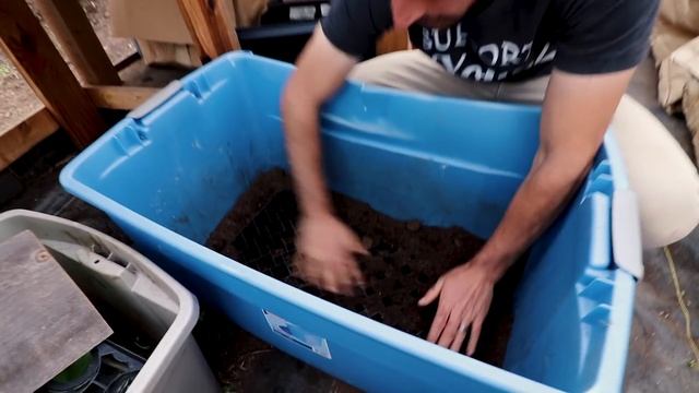 Best Seedling Trays: Soil Blocks, Winstrip, and Plug Trays Compared смотреть онлайн