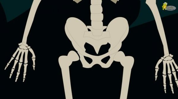 Dem Bones Skeleton Dance Dry Dancing Bones | Popular Nursery Rhyme