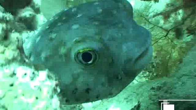 Предельная глубина