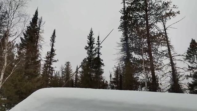 Таёжный быт. Готовимся к охоте на медведя, запускаем таёжную баньку. Завалило снегом! Апрель 2023. смотреть онлайн