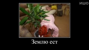 Муд Влад А4 демотиватор (Стали Смешариками)